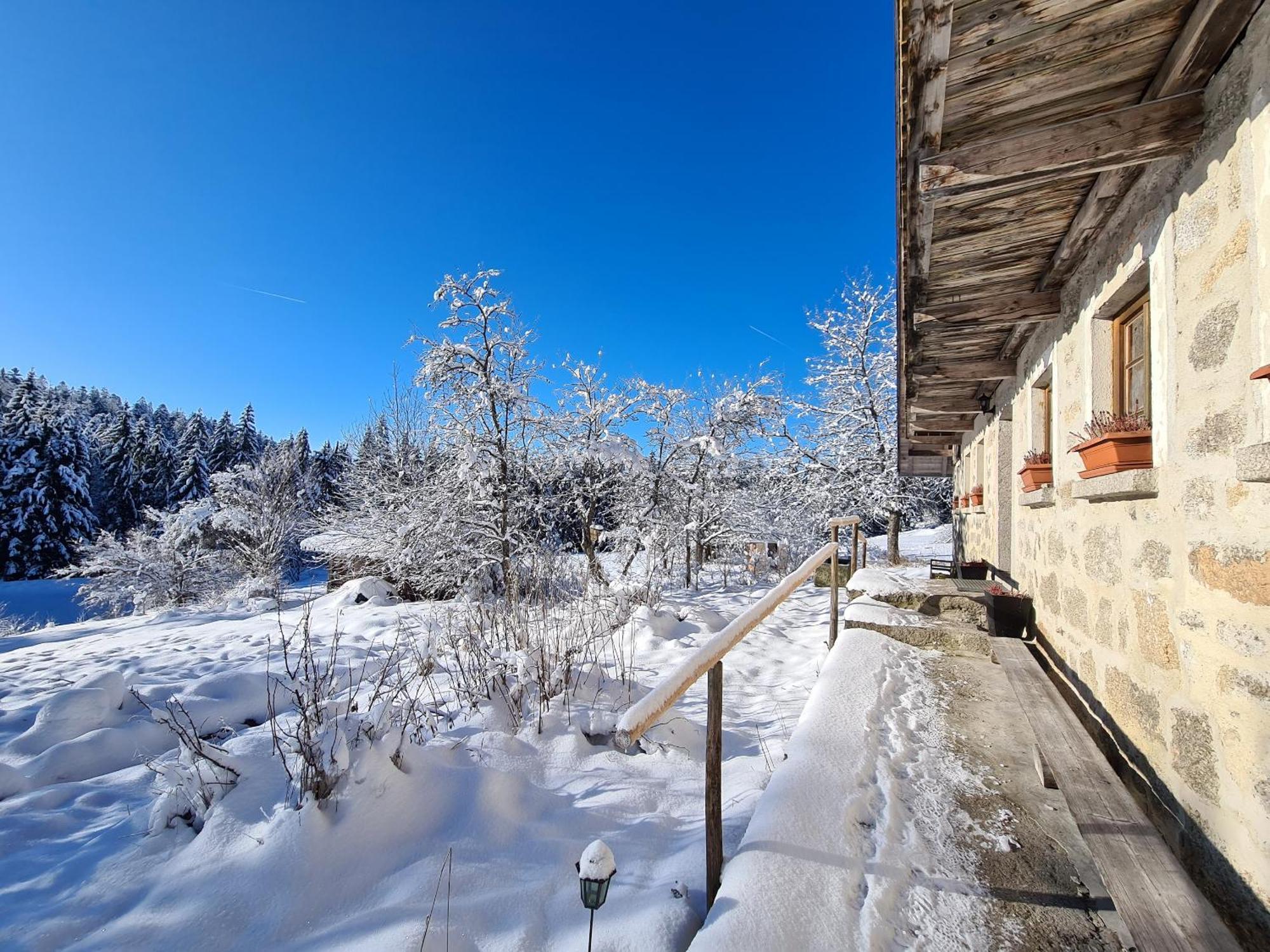 Ferienhaus Klause Neureichenau Ngoại thất bức ảnh